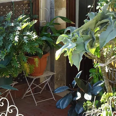Crociferi B&B CTA Exterior foto